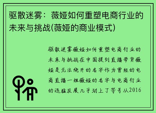 驱散迷雾：薇娅如何重塑电商行业的未来与挑战(薇娅的商业模式)